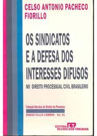 Os Sindicatos e a Defesa dos Interesses Difusos