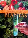 O Maravilhoso Poder das Plantas