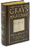 Grays Anatomy