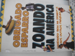Zoando na América