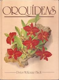 Orquídeas