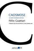 Caosmose: um novo paradigma estético