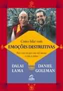 Como Lidar Com Emoções Destrutivas