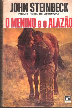 O Menino e o Alazão
