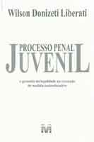 Processo Penal Juvenil