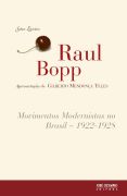 Movimentos Modernistas no Brasil 1922 1928