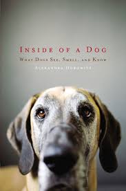 INSIDE OF A DOG WHAT DOGS SEE SMELL AND KNOW