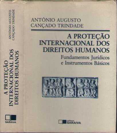 A Proteo Internacional dos Direitos Humanos e o Brasil