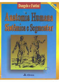 Anatomia Humana Basica Dangelo E Fattini Pdf