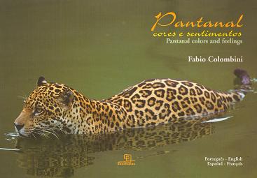 Pantanal Cores e Sentimentos