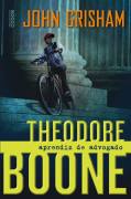 Theodore Boone - Aprendiz de Advogado