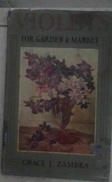 Violets For Garden & Market