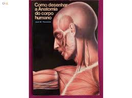 Como Desenhar a Anatomia do Corpo Humano