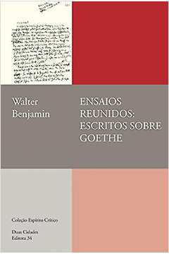Ensaios Reunídos: Escritos Sobre Goethe