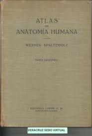 Atlas  de Anatomía Humana