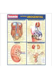 Resumão Medicina 16 - Sistema Urogenital