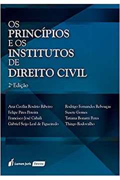 Os Princípios e os Institutos de Direito Civil
