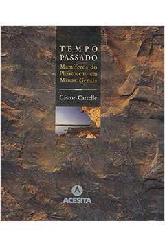 Tempo Passado - Mamíferos do Pleistoceno Em Minas Gerais