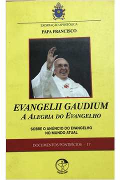 Exortação Apostólica Evangelii Gaudium - A Alegria Do Evangelho: Sobre O  Anúncio Do Evangelho No Mundo Atual