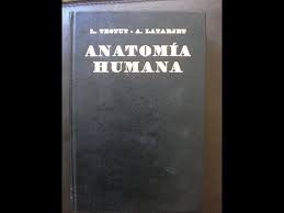 Livro: Tratado De Anatomia Humana 4 Volumes - L. Testut/ A. Latarjet ...