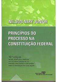 Princípios do Processo na Constituição Federal