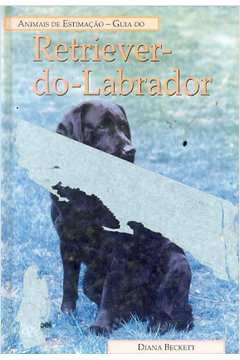 Retriever do Labrador