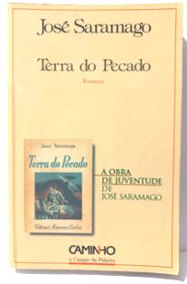 Terra do Pecado: Romance (portuguese Edition)