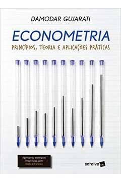 Econometria: Princípios, Teoria e Aplicações Práticas