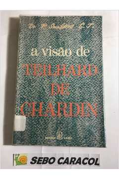 A Visão de Teilhar de Chardin: Ensaio de Reflexão Teológica