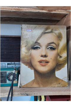 Marilyn uma Biografia