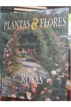 Plantas & Flores - Rosas