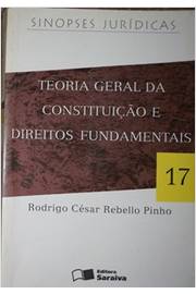 Teoria Geral da Constituição e Direitos Fundamentais 17