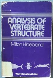 Analysis of Vertebrate Structure