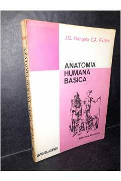 Anatomia Humana Básica