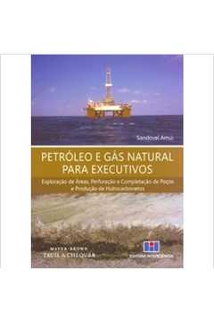Petróleo e Gás Natural para Executivos