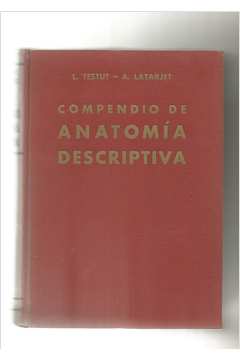 Compendio de Anatomia Descriptiva