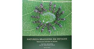 Natureza Brasileira  Em Detalhe