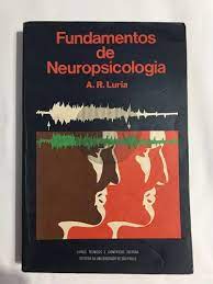 Fundamentos de Neuropsicologia
