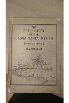 The Pre-history of the Lagoa Santa Region ( Minas Gerais )