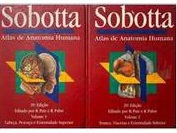Atlas de Anatomia Humana - 2 Volumes