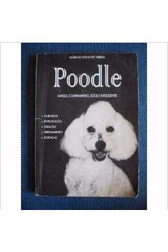 Poodle - Amigo, Companheiro, Dócil e Inteligente