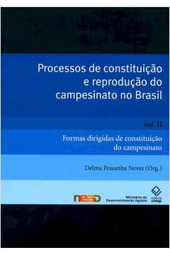 Processos de Constituição e Reprodução do Campesinato no Brasil Vol. 2