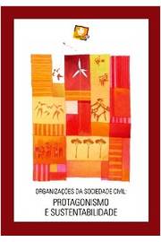 Organizações da Sociedade Civil: Protagonismo e Sustentabilidade