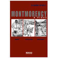 Montmorency a Pique de Eleanor Updale pela Rocco (2004)
