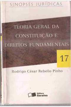 Teoria Geral Constituição Direitos Fundamentais Sinopses Jurídicas 17