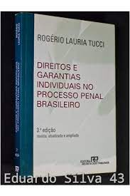 Direitos e Garantias Individuais no Processo Penal Brasileiro