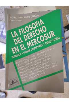 La Filosofia del Derecho En El Mercosur