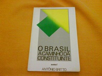 O Brasil a Caminho da Constituinte