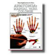 Anatomia - Um Livro para Colorir, de Kapit. Editora Guanabara Koogan Ltda.,  capa mole em português, 2014