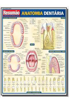 Anatomia Dentária - Vol.19 - Colecão Resumão Medicina